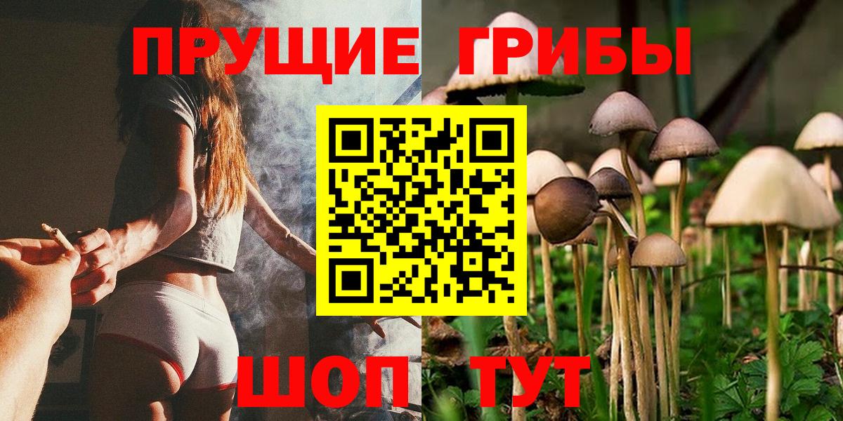 Галлюциногенные грибы GOLDEN TEACHER Новороссийск